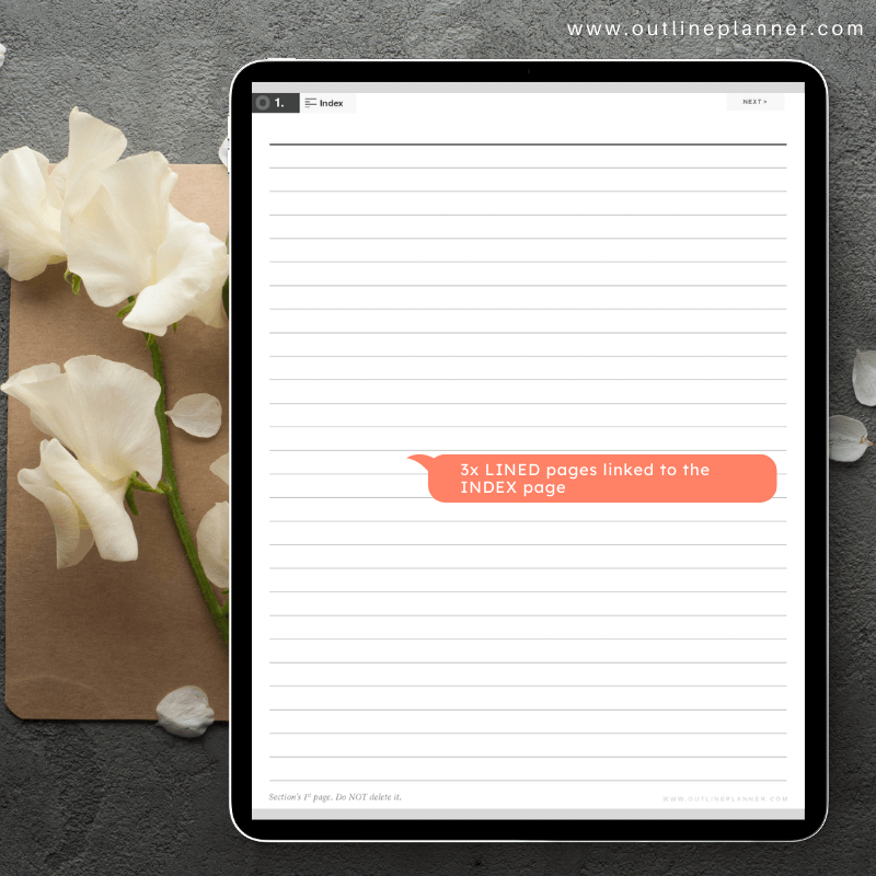 digital bullet journal-digibujo notebook-goodnotes planner-best good note template (3)